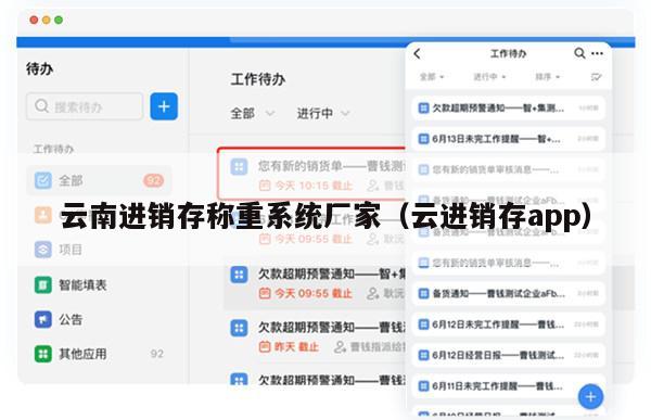 云南进销存称重系统厂家（云进销存app）