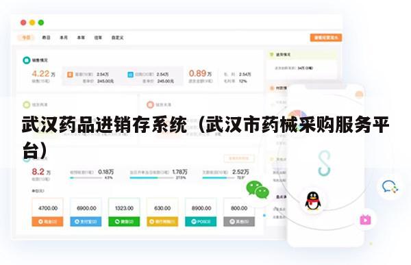 武汉药品进销存系统（武汉市药械采购服务平台）
