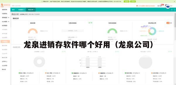 龙泉进销存软件哪个好用（龙泉公司）