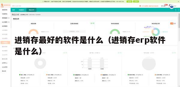 进销存最好的软件是什么（进销存erp软件是什么）