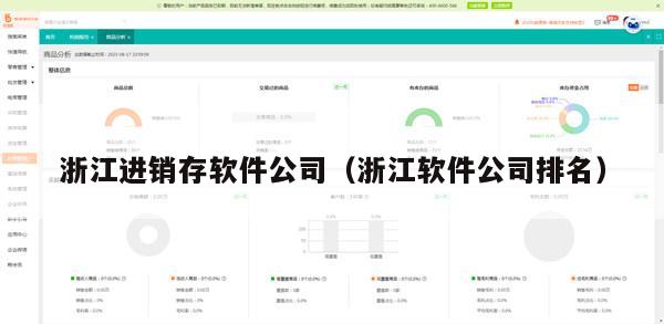 浙江进销存软件公司（浙江软件公司排名）
