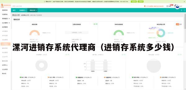漯河进销存系统代理商（进销存系统多少钱）