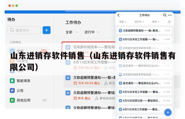 山东进销存软件销售（山东进销存软件销售有限公司）