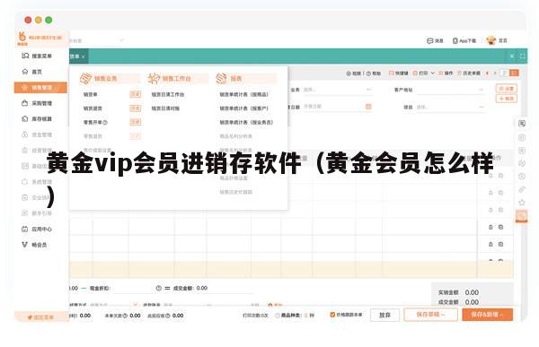 黄金vip会员进销存软件（黄金会员怎么样）