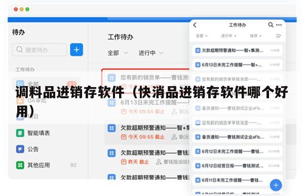 调料品进销存软件（快消品进销存软件哪个好用）