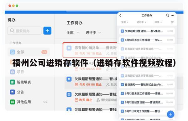 福州公司进销存软件（进销存软件视频教程）