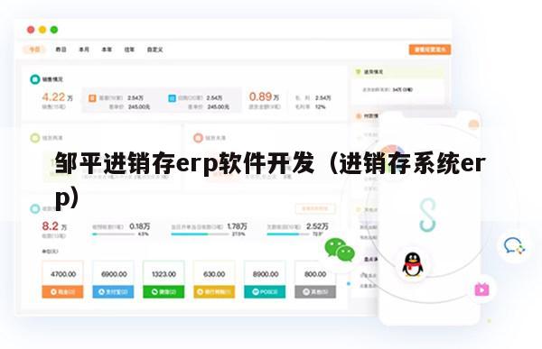 邹平进销存erp软件开发（进销存系统erp）
