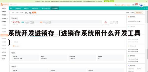 系统开发进销存（进销存系统用什么开发工具）