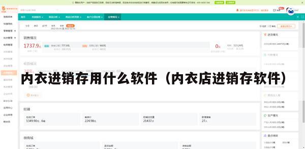 内衣进销存用什么软件（内衣店进销存软件）