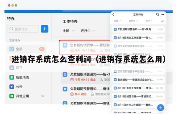 进销存系统怎么查利润（进销存系统怎么用）