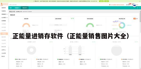 正能量进销存软件（正能量销售图片大全）
