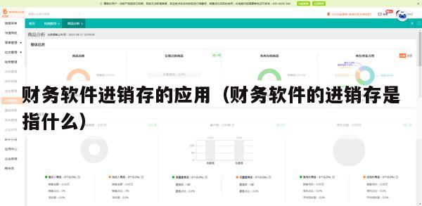 财务软件进销存的应用（财务软件的进销存是指什么）