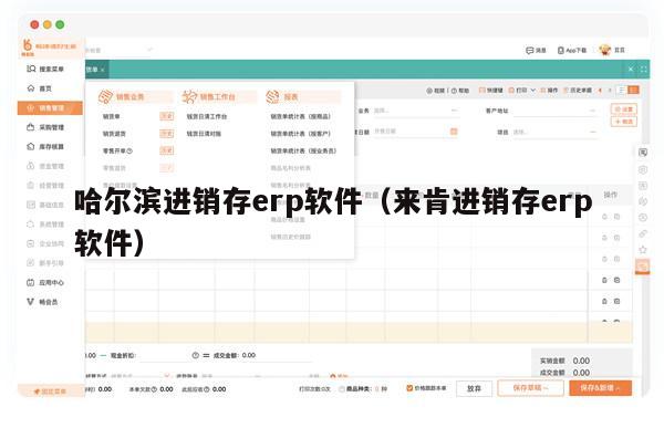 哈尔滨进销存erp软件（来肯进销存erp软件）