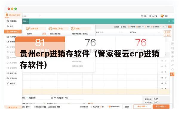 贵州erp进销存软件（管家婆云erp进销存软件）