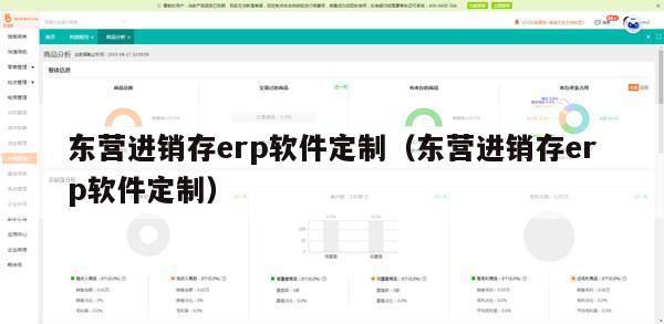 东营进销存erp软件定制（东营进销存erp软件定制）