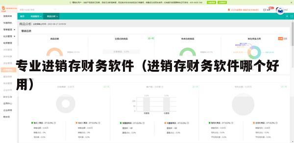 专业进销存财务软件（进销存财务软件哪个好用）