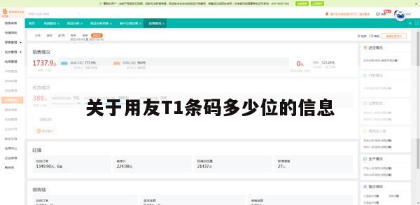 关于用友T1条码多少位的信息