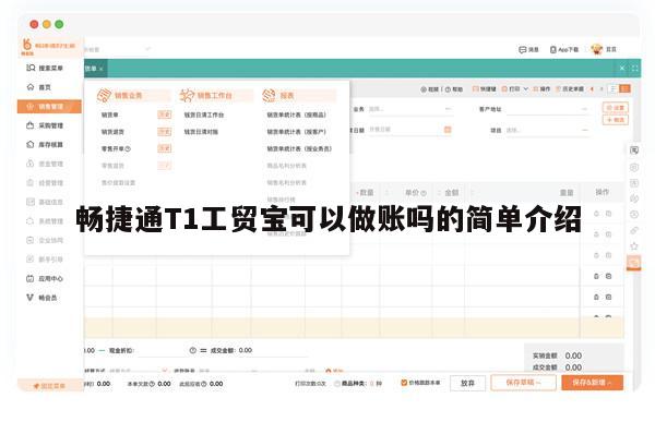 畅捷通T1工贸宝可以做账吗的简单介绍