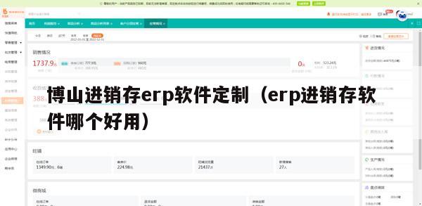 博山进销存erp软件定制（erp进销存软件哪个好用）