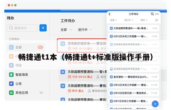 畅捷通t1本（畅捷通t+标准版操作手册）