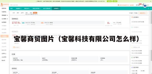 宝馨商贸图片（宝馨科技有限公司怎么样）