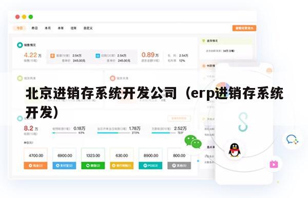 北京进销存系统开发公司（erp进销存系统开发）