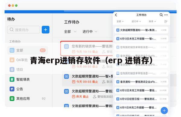 青海erp进销存软件（erp 进销存）