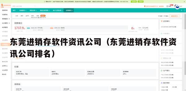 东莞进销存软件资讯公司（东莞进销存软件资讯公司排名）