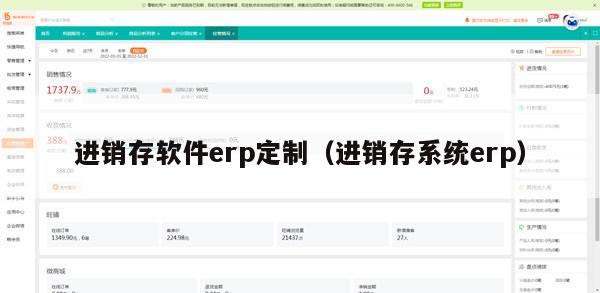 进销存软件erp定制（进销存系统erp）