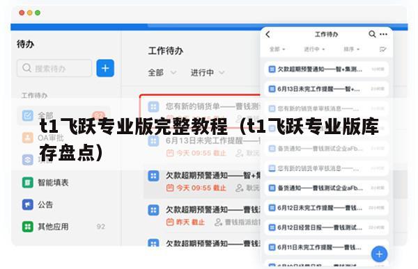 t1飞跃专业版完整教程（t1飞跃专业版库存盘点）