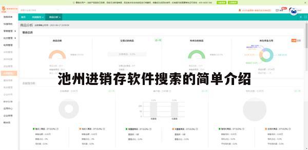 池州进销存软件搜索的简单介绍