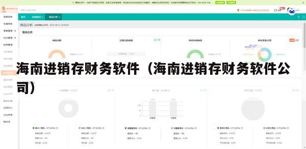 海南进销存财务软件（海南进销存财务软件公司）