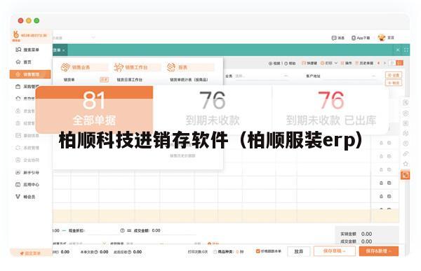 柏顺科技进销存软件（柏顺服装erp）