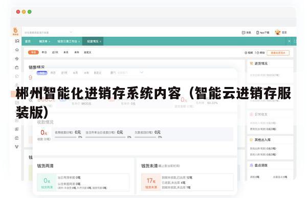 郴州智能化进销存系统内容（智能云进销存服装版）