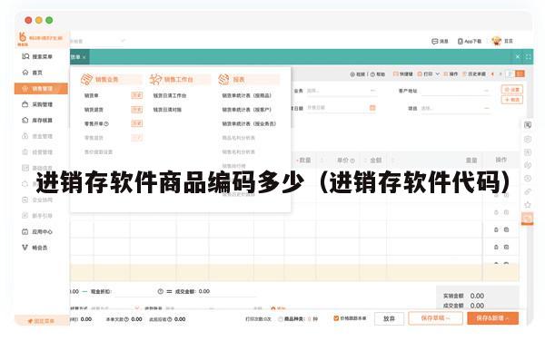 进销存软件商品编码多少（进销存软件代码）