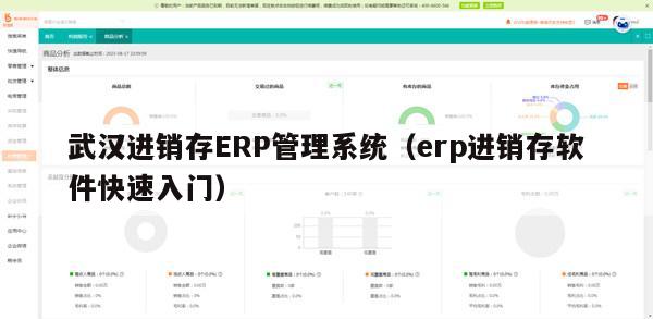 武汉进销存ERP管理系统（erp进销存软件快速入门）