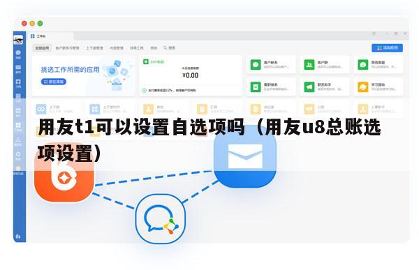 用友t1可以设置自选项吗（用友u8总账选项设置）