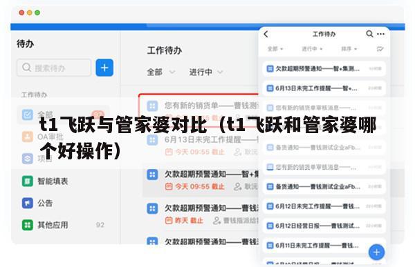 t1飞跃与管家婆对比（t1飞跃和管家婆哪个好操作）