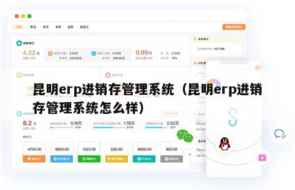 昆明erp进销存管理系统（昆明erp进销存管理系统怎么样）