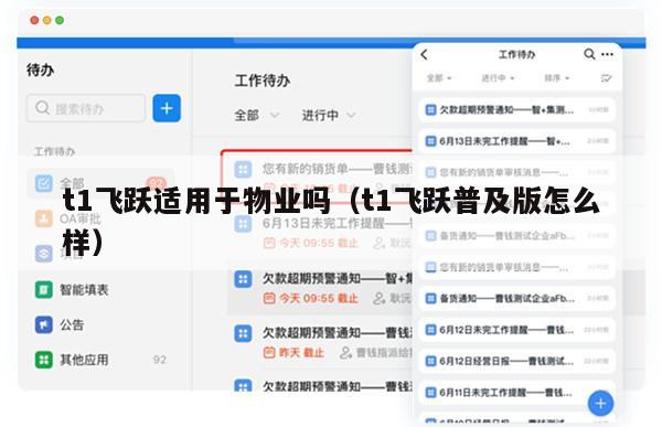 t1飞跃适用于物业吗（t1飞跃普及版怎么样）