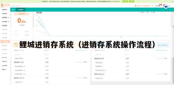鲤城进销存系统（进销存系统操作流程）