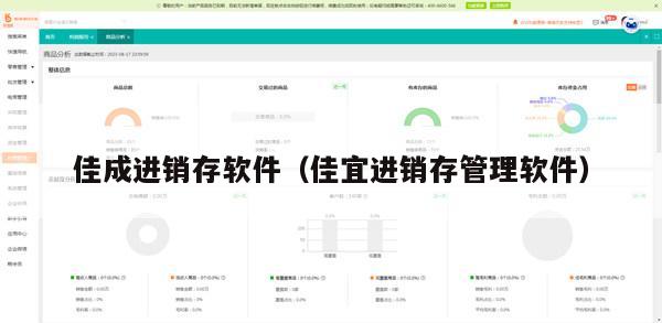 佳成进销存软件（佳宜进销存管理软件）
