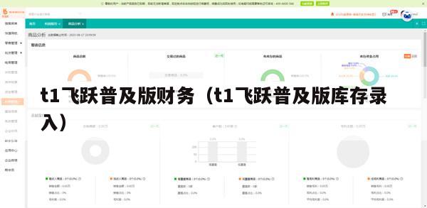 t1飞跃普及版财务（t1飞跃普及版库存录入）