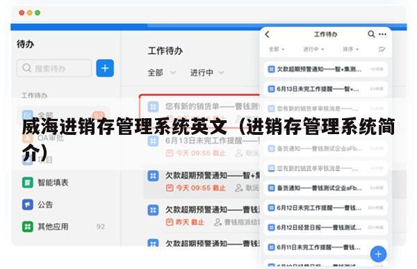 威海进销存管理系统英文（进销存管理系统简介）