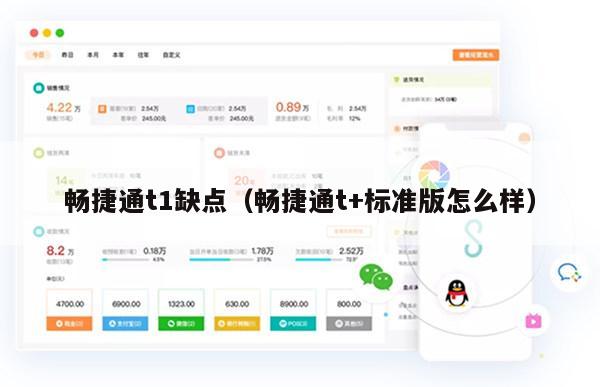 畅捷通t1缺点（畅捷通t+标准版怎么样）