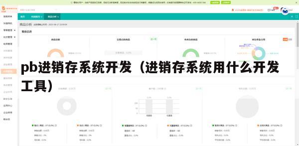 pb进销存系统开发（进销存系统用什么开发工具）