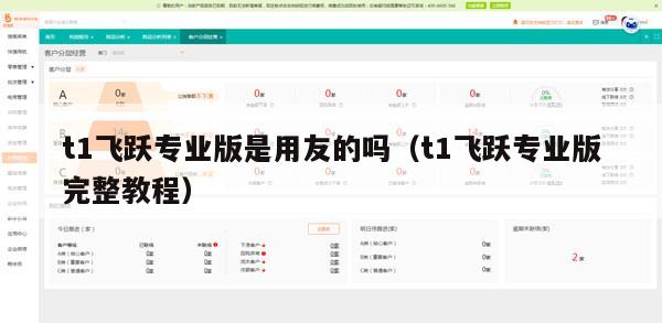 t1飞跃专业版是用友的吗（t1飞跃专业版完整教程）