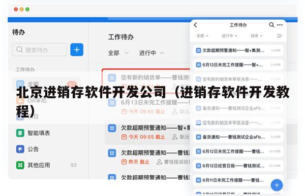 北京进销存软件开发公司（进销存软件开发教程）