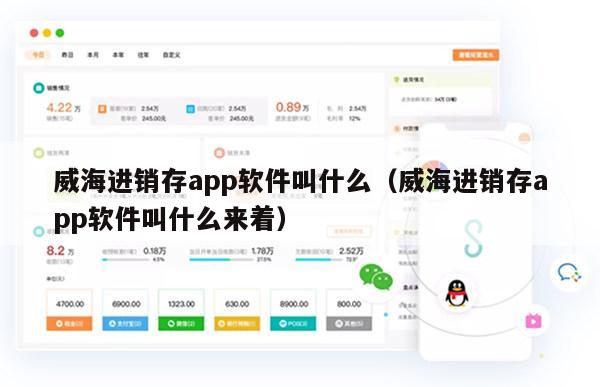 威海进销存app软件叫什么（威海进销存app软件叫什么来着）