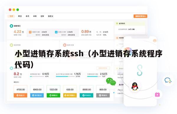 小型进销存系统ssh（小型进销存系统程序代码）